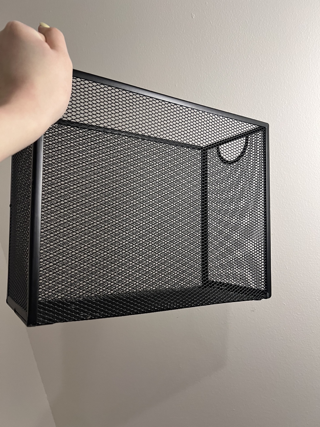 Black Metal Mesh Organizer Bin