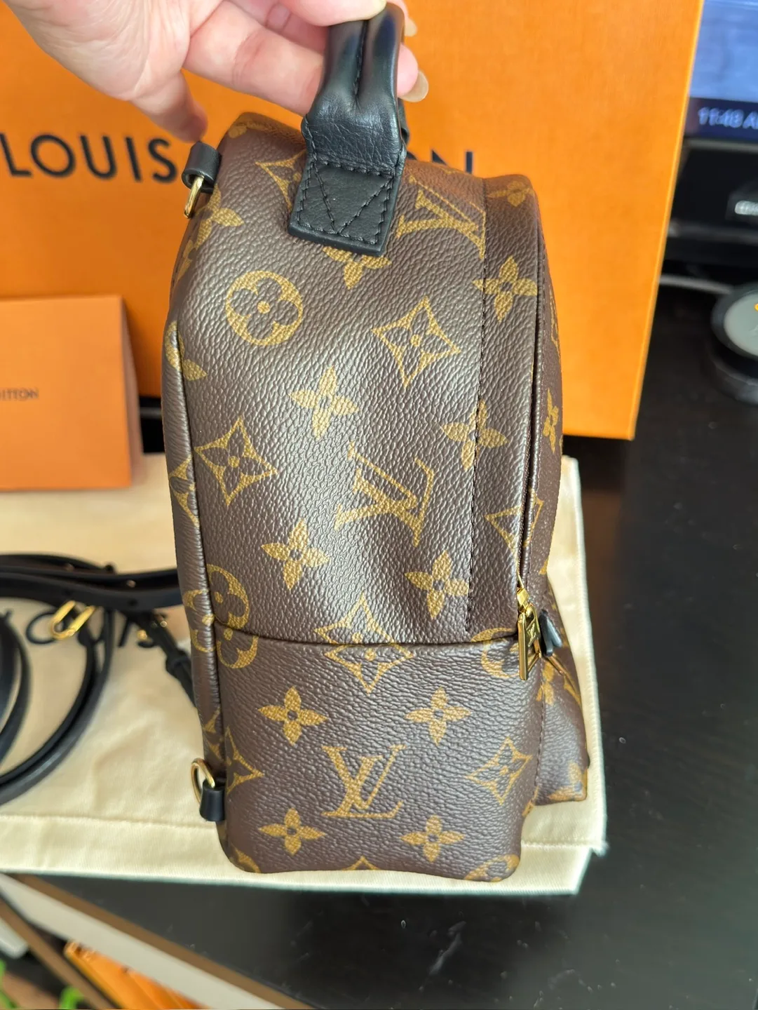 Louis Vuitton Palm Springs Mini Backpack image indicator(5)