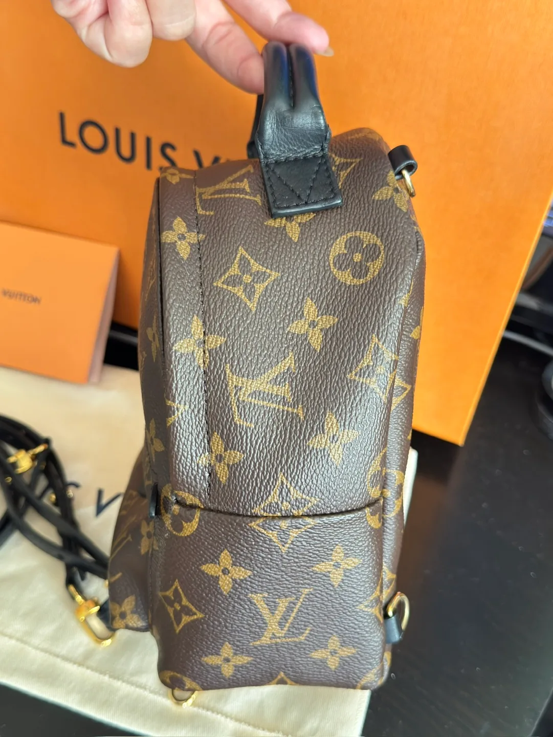 Louis Vuitton Palm Springs Mini Backpack image indicator(4)