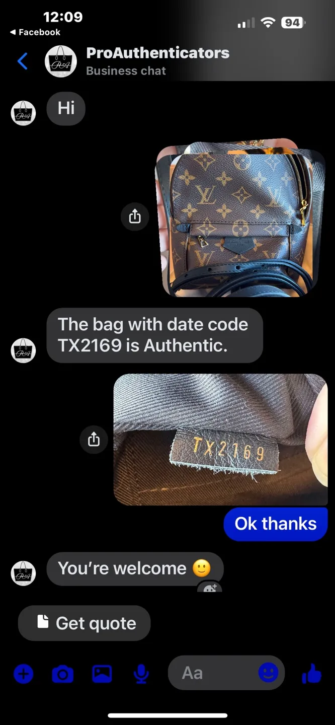 Louis Vuitton Palm Springs Mini Backpack image indicator(10)