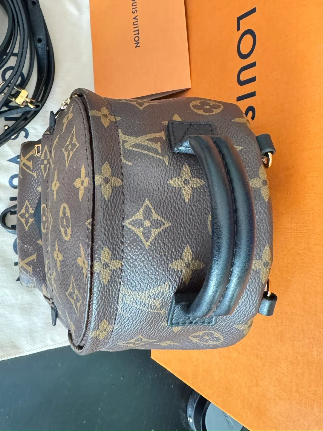 Louis Vuitton Palm Springs Mini Backpack image indicator(6)
