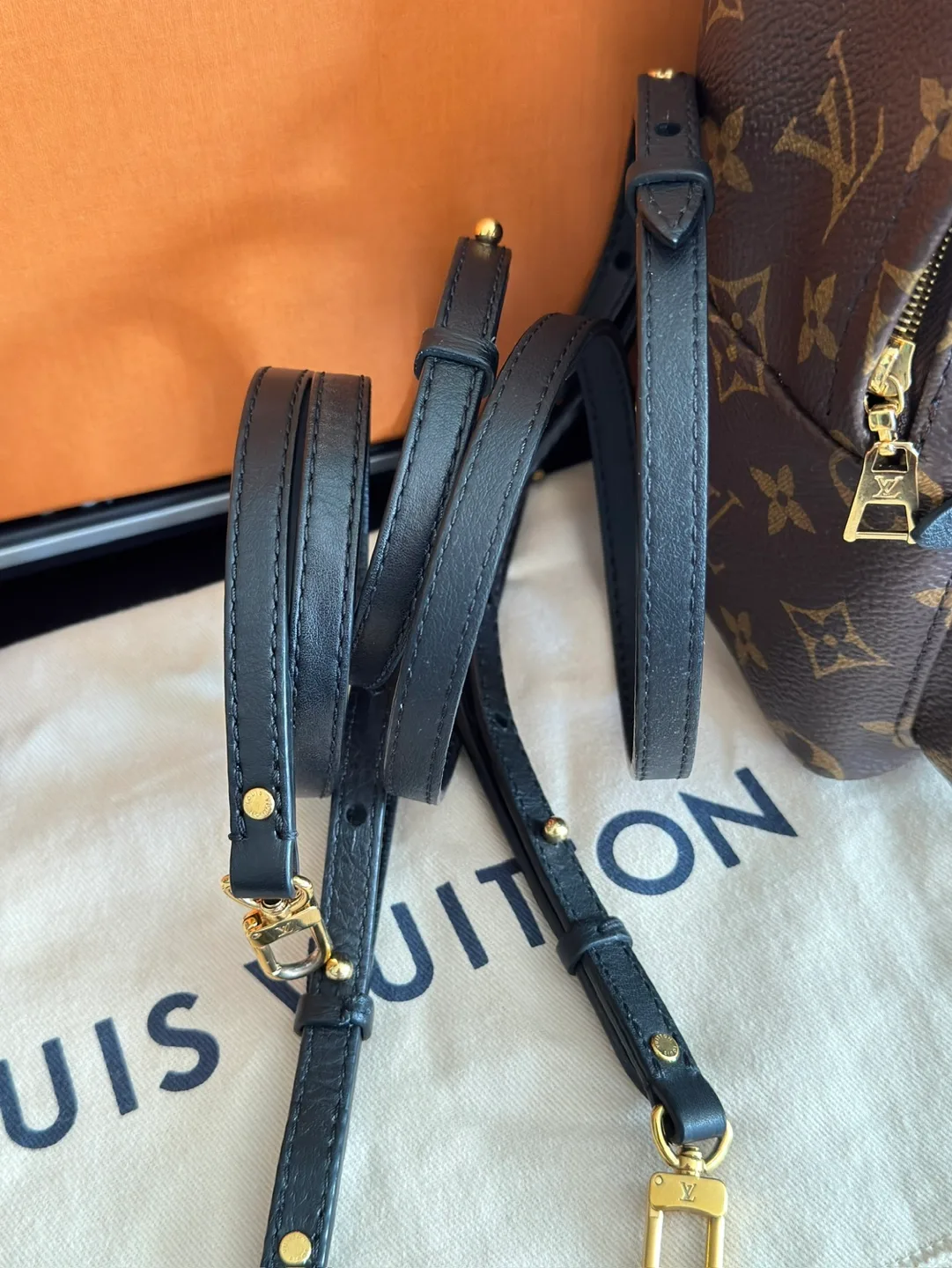 Louis Vuitton Palm Springs Mini Backpack image indicator(8)