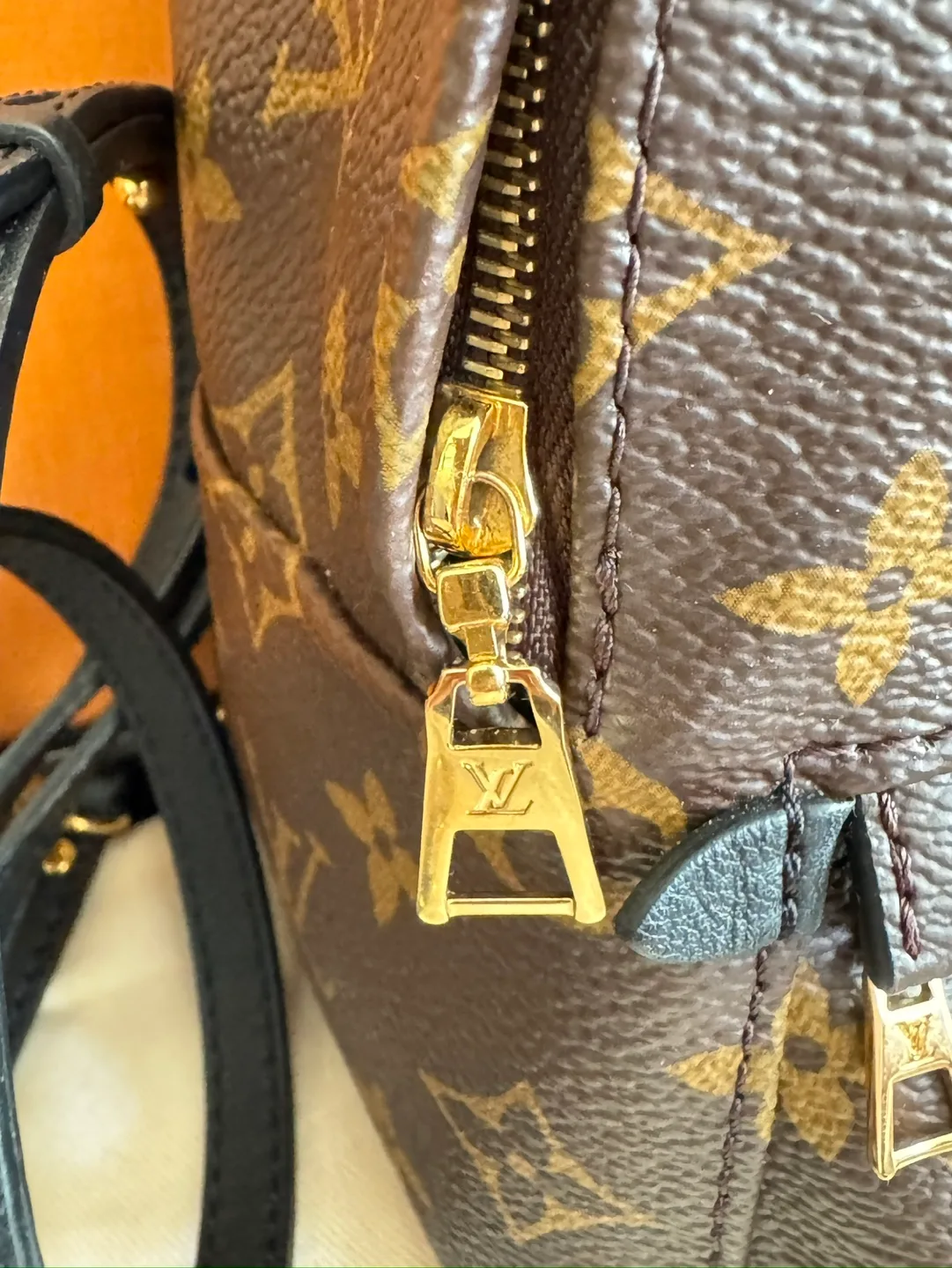 Louis Vuitton Palm Springs Mini Backpack image indicator(9)