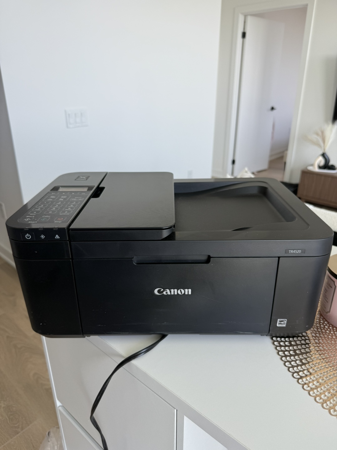 Canon PIXMA TR4520 Wireless All-in-One Printer