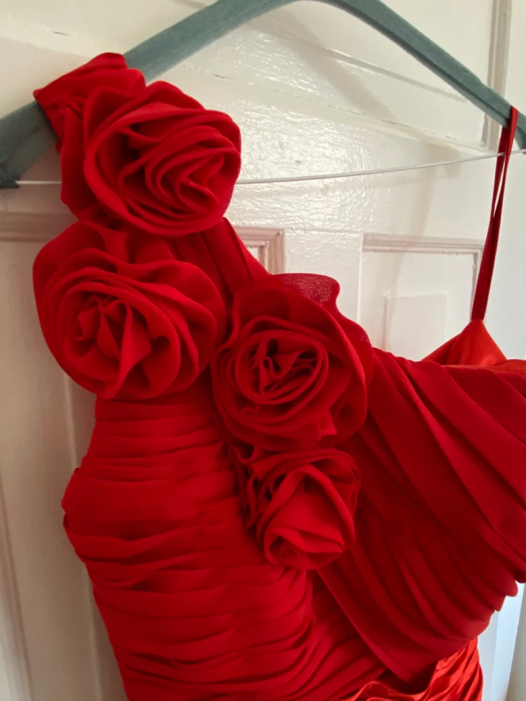 Red One-Shoulder Gown image indicator(3)