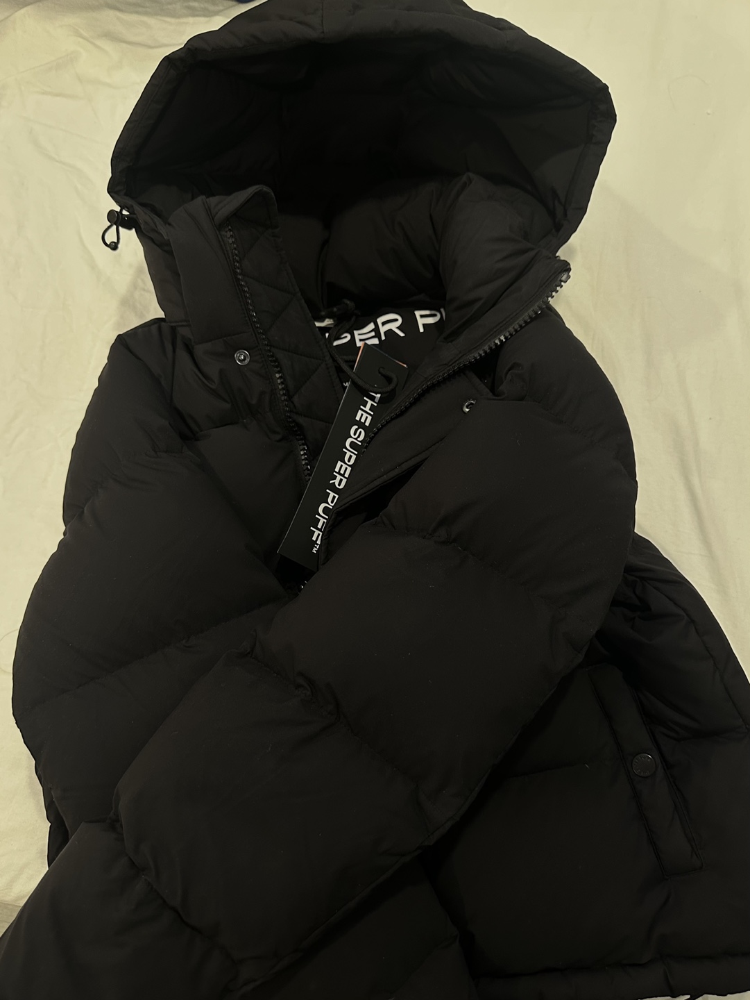 Aritzia Short Super Puff - photo 2