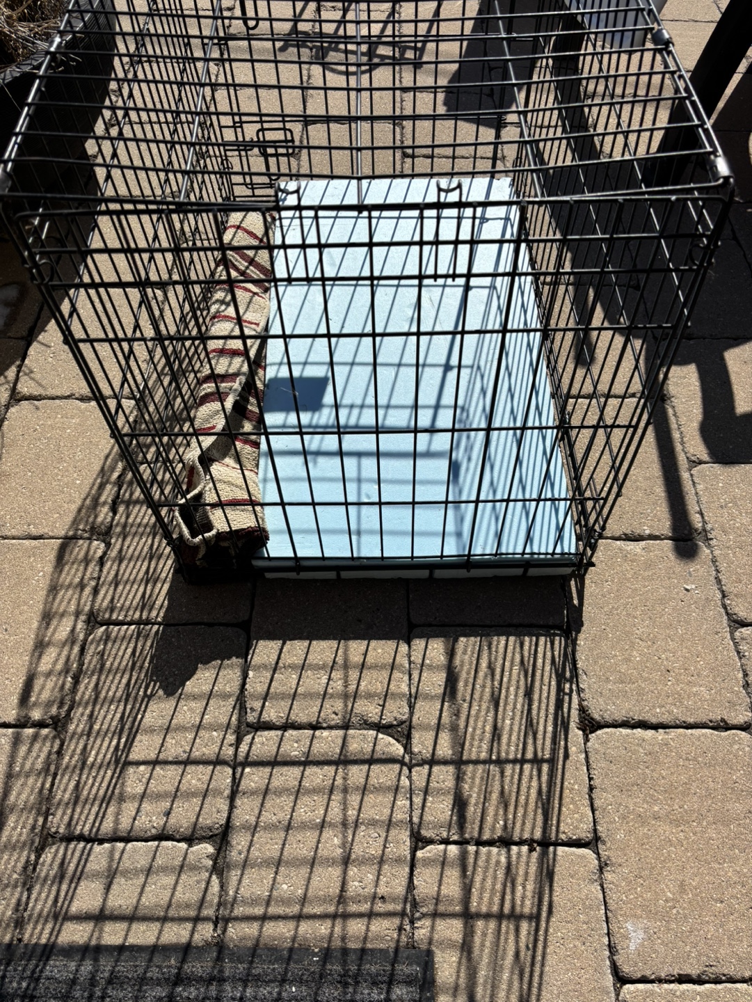 Black wire dog crate - photo 2