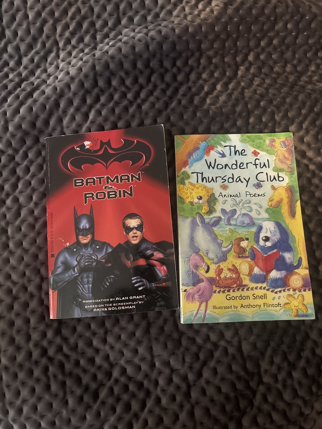 Batman & Robin & The Wonderful Thursday Club Children's Books