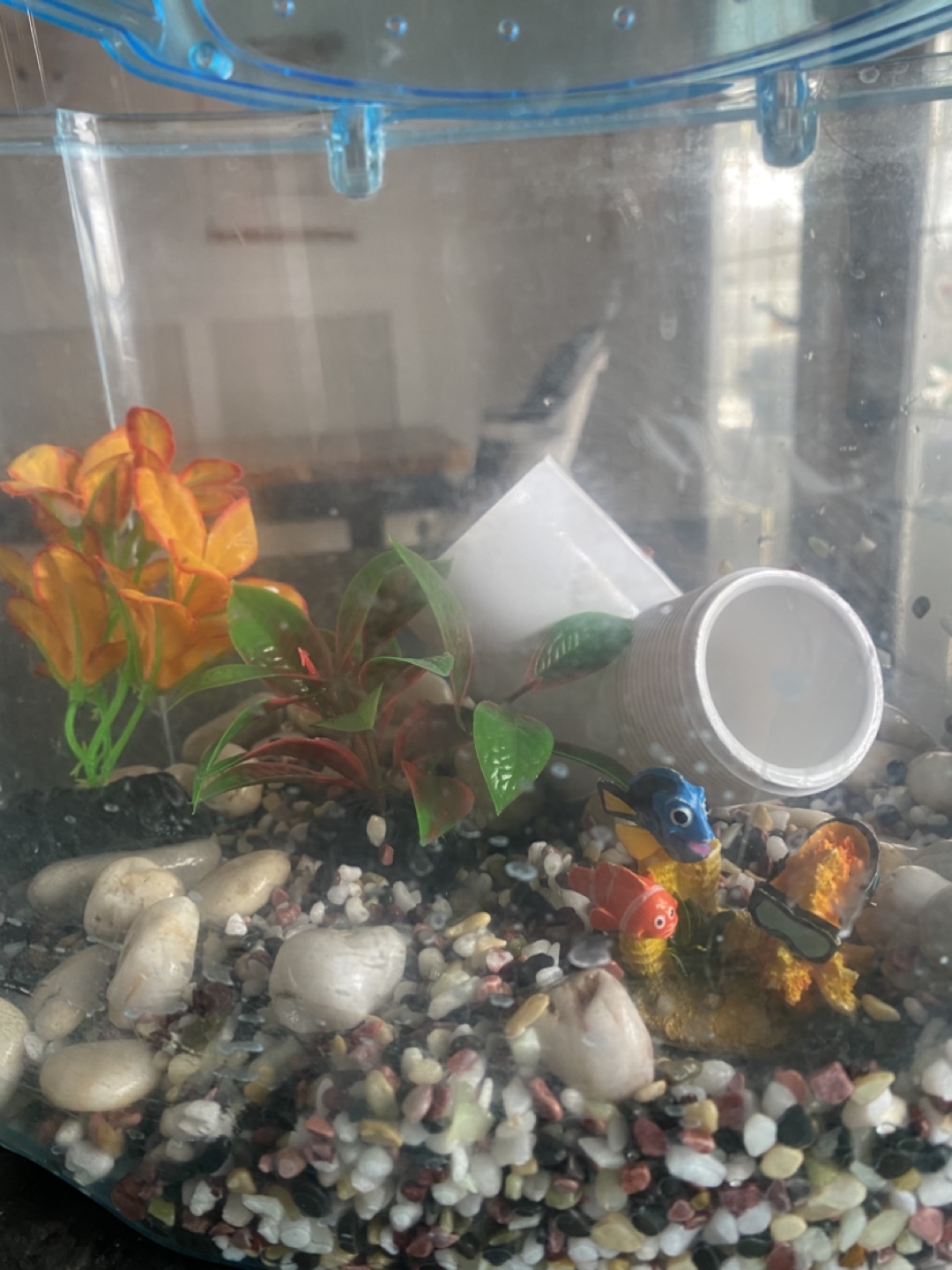 Small Fish Tank with Decorations - photo 3