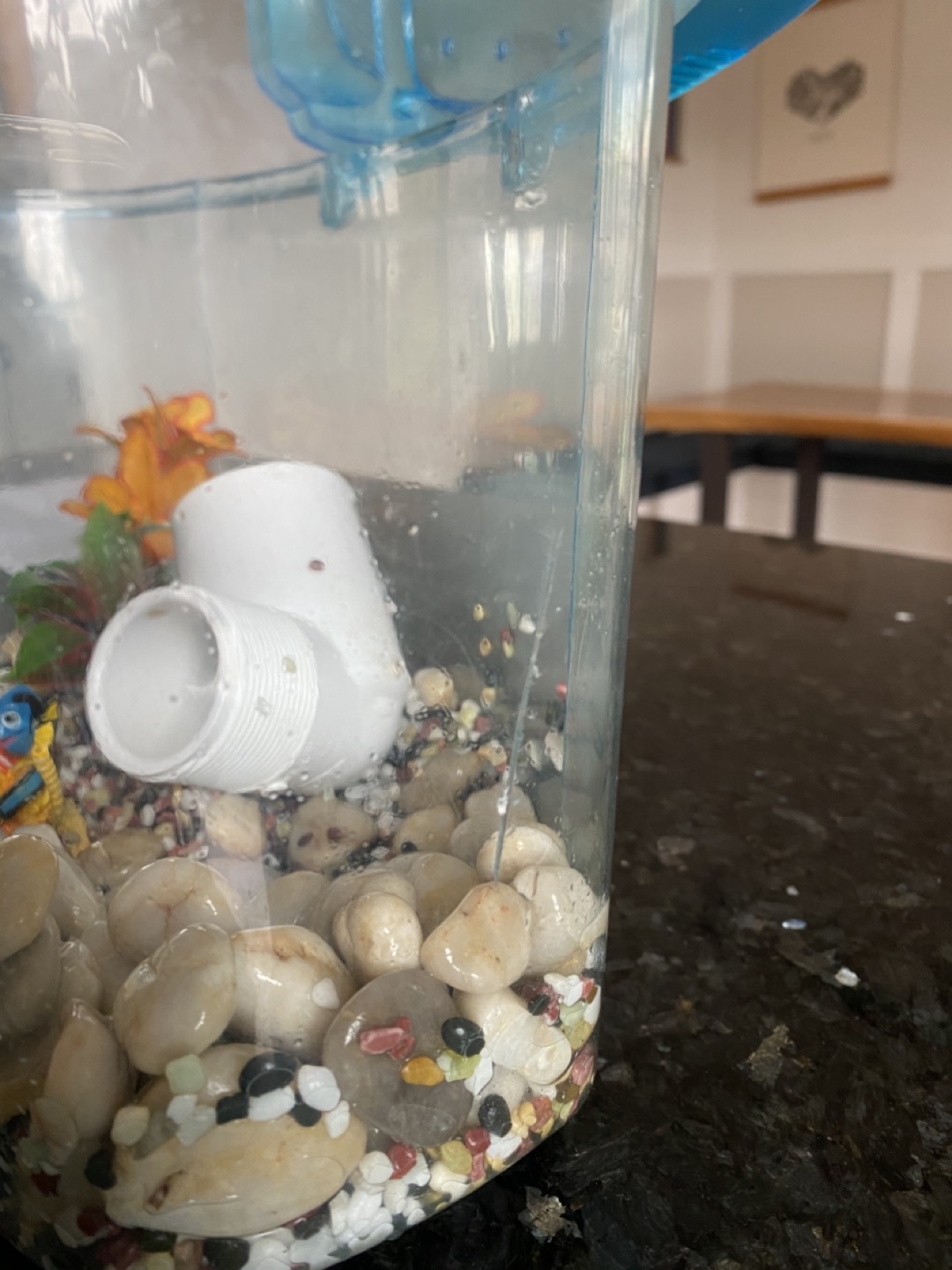 Small Fish Tank with Decorations - photo 2