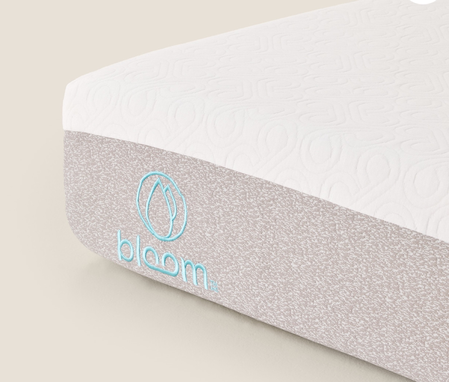 Bloom Mist 9" Medium Foam Mattress - photo 3