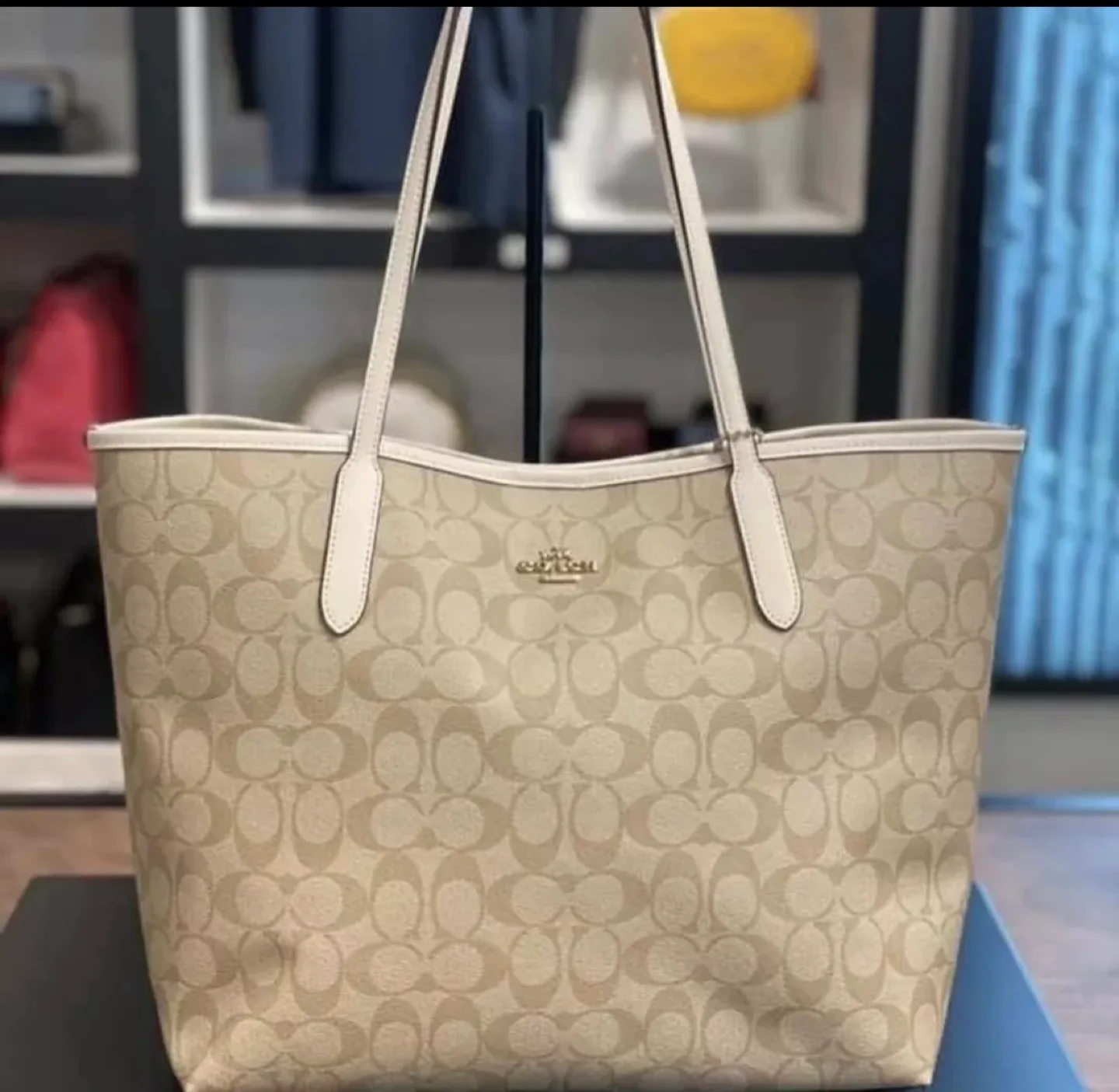 Coach Tote Bag - Signature Canvas image indicator(2)