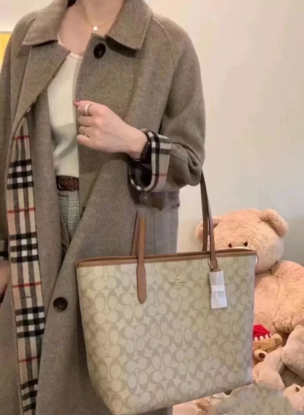 Coach Tote Bag - Signature Canvas image indicator(5)