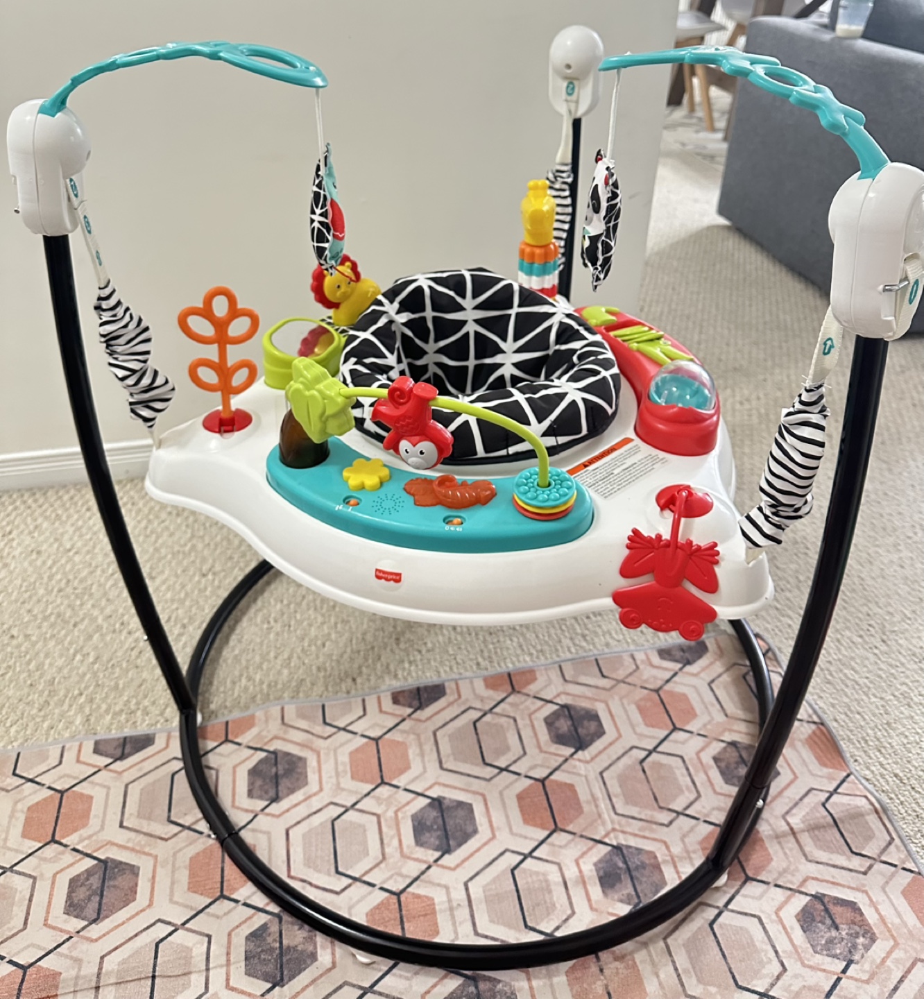 Baby Bouncer