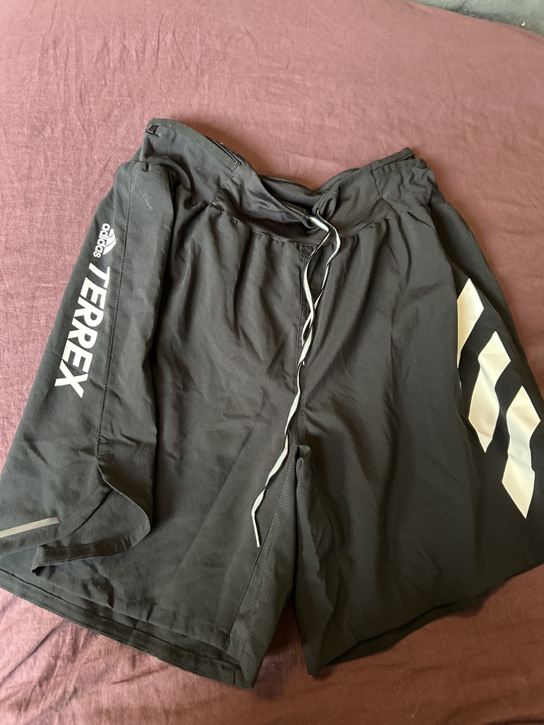 Adidas Terrex Running Shorts