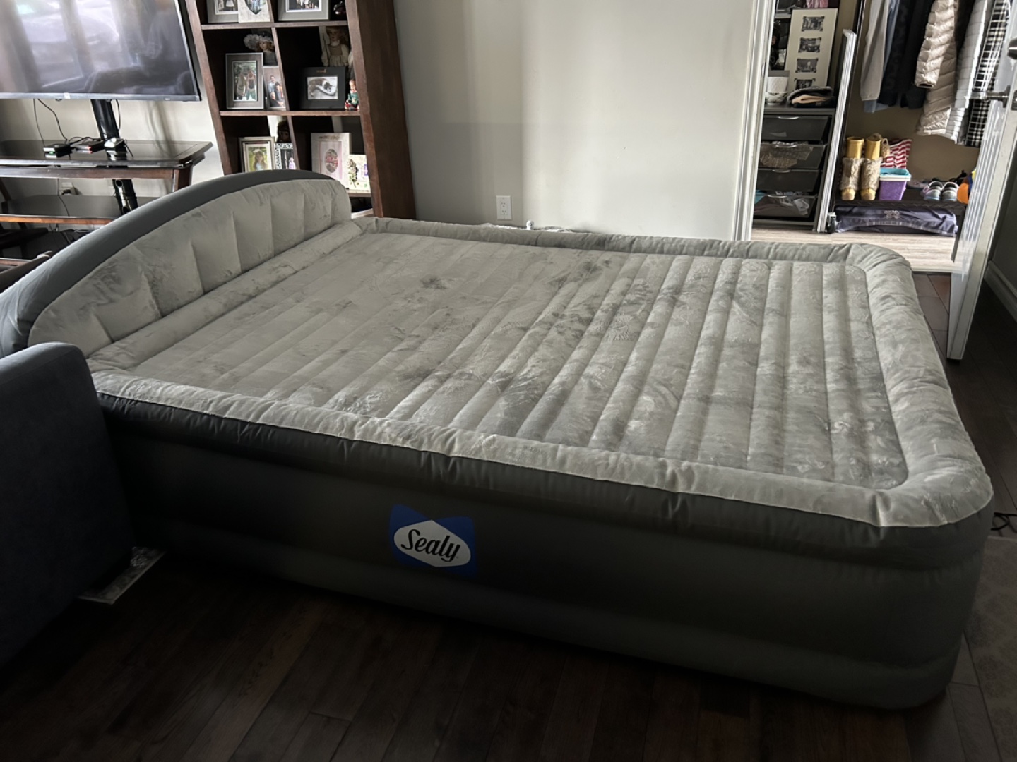 Sealy Air Mattress Queen