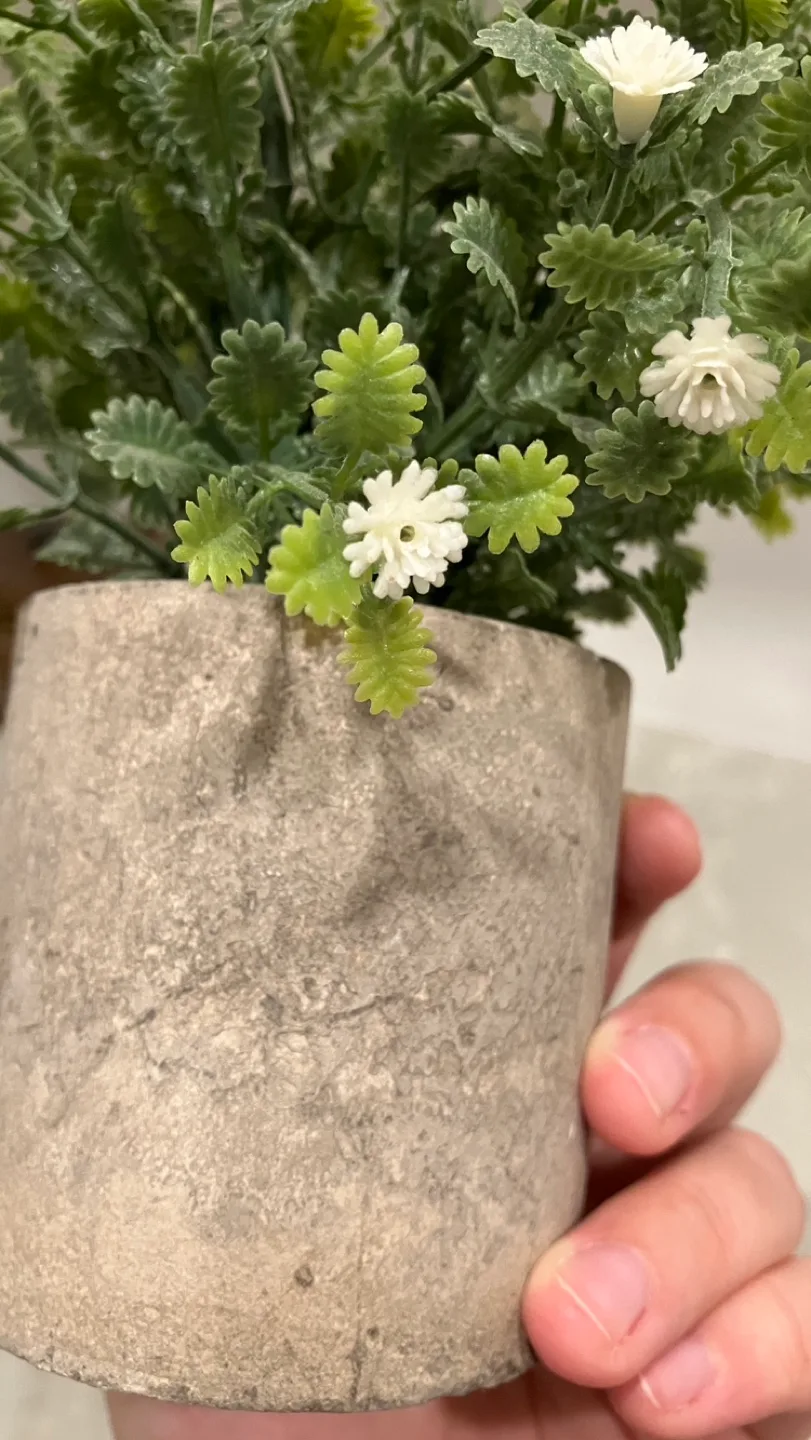 Fake flower image indicator(2)