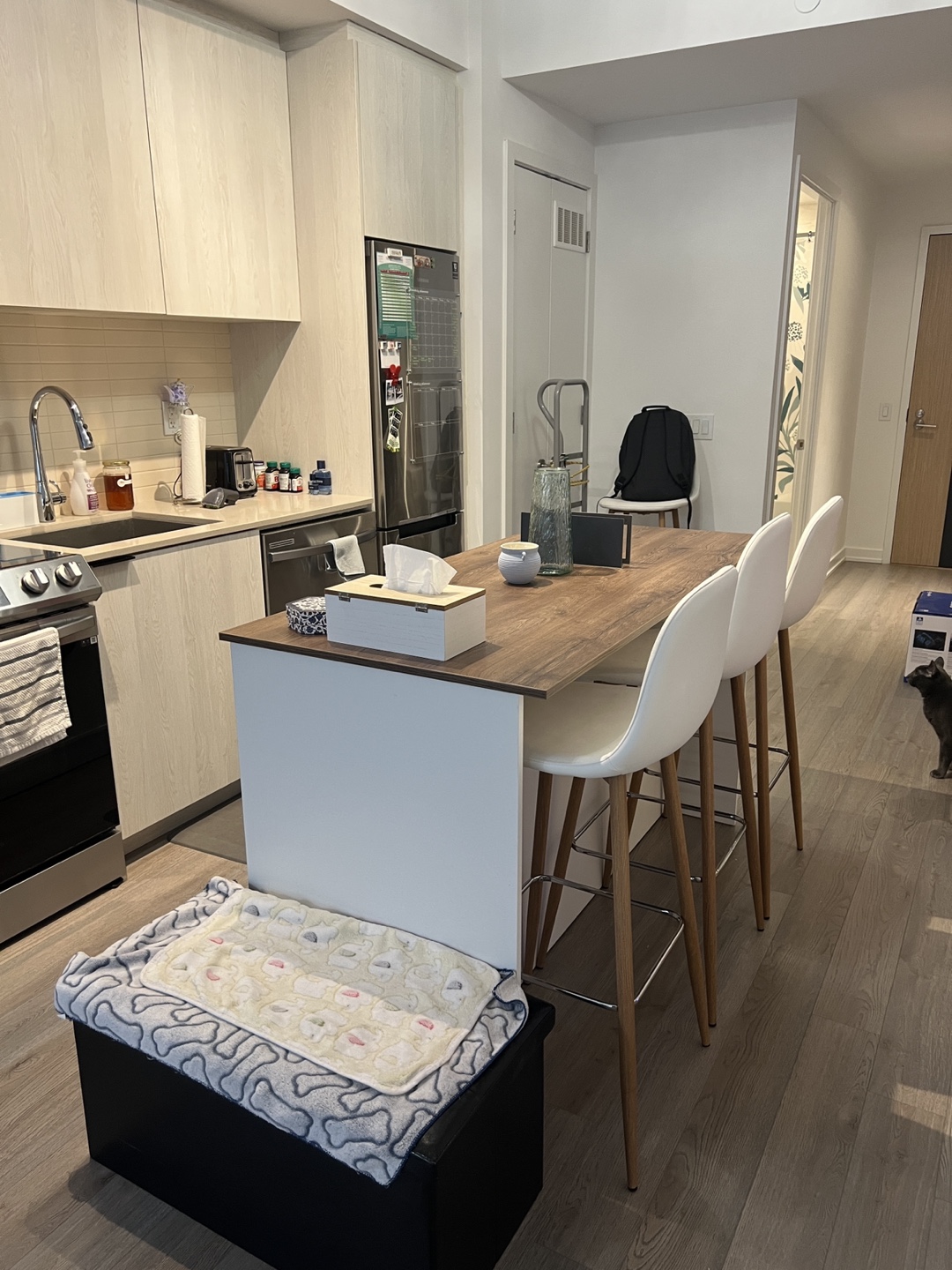 Kitchen Island with Shelves and Cabinets and Seating - photo 4