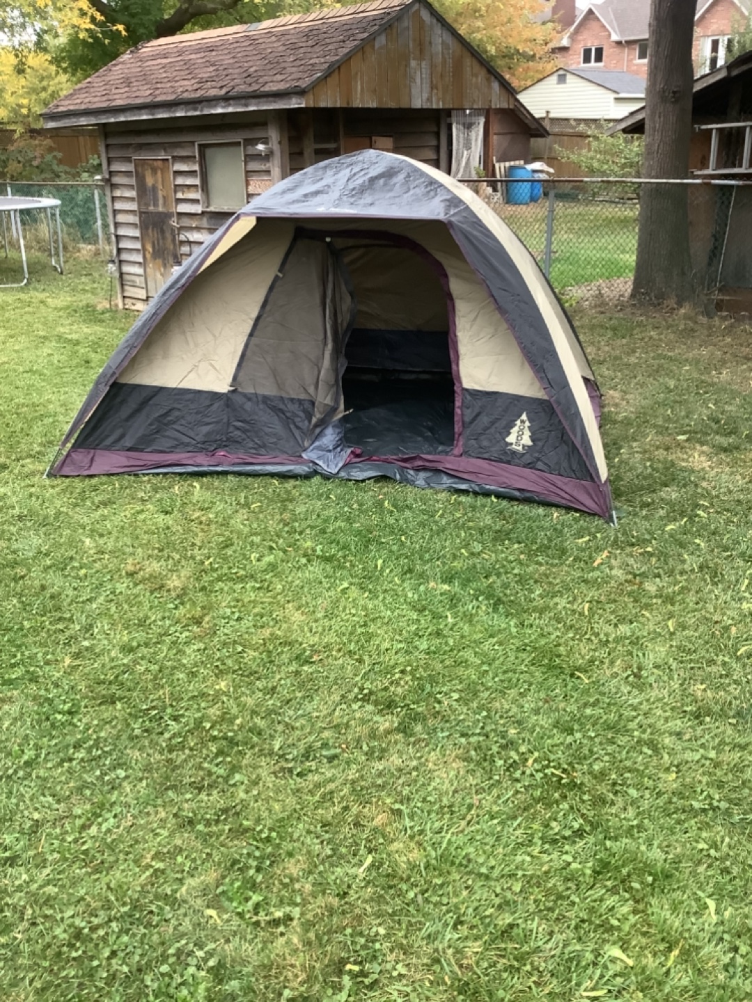 Four person tent