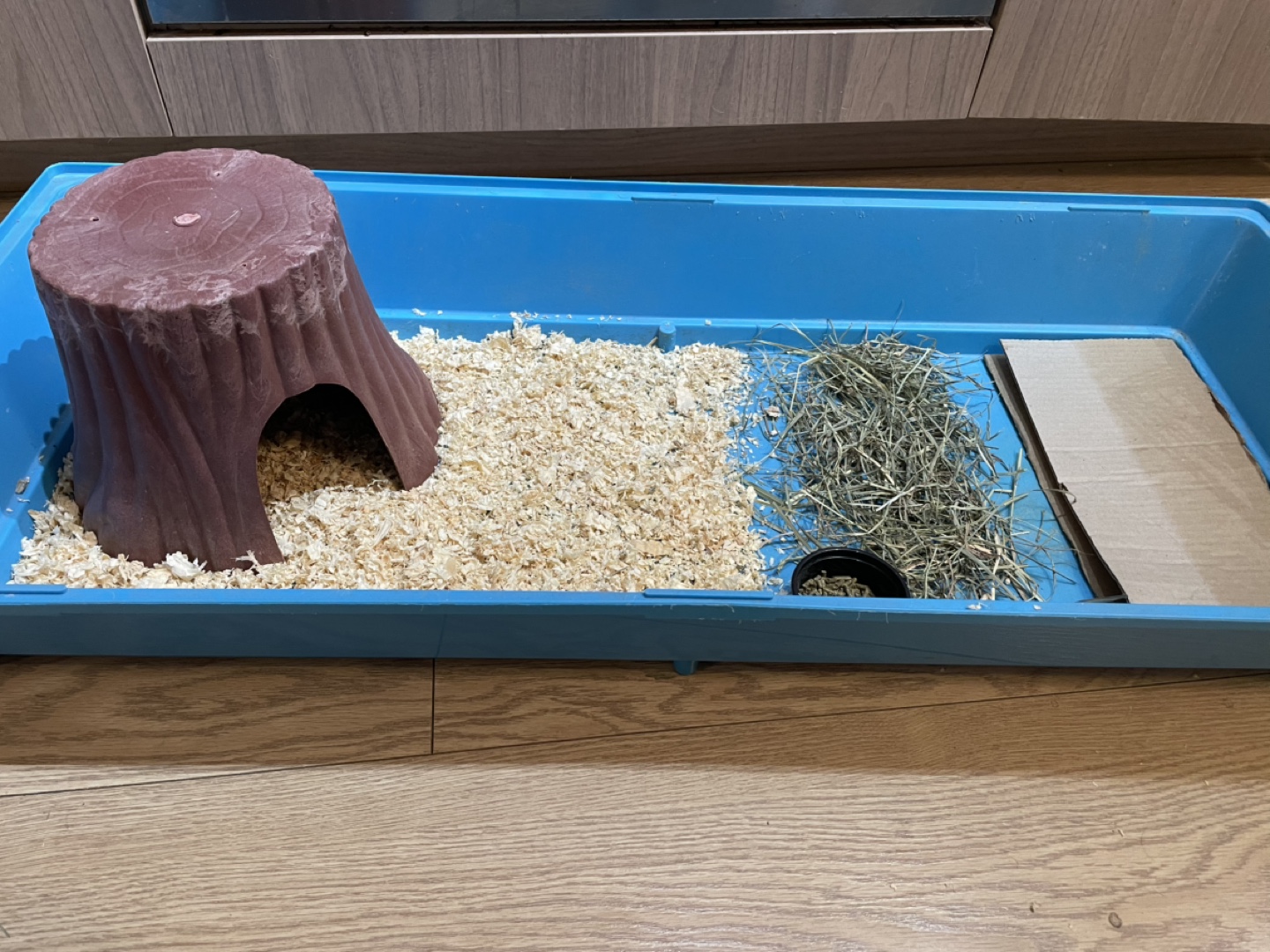 Blue Rabbit Cage with water bottle - photo 4