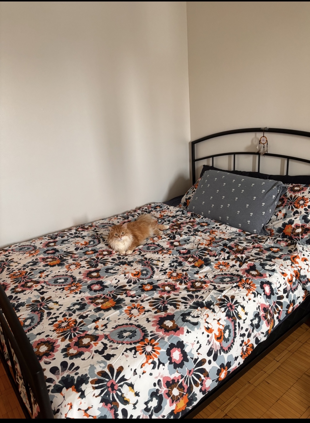***IMMEDIATE PICKUP**Disassembled Bed Frame,Mattress,Box