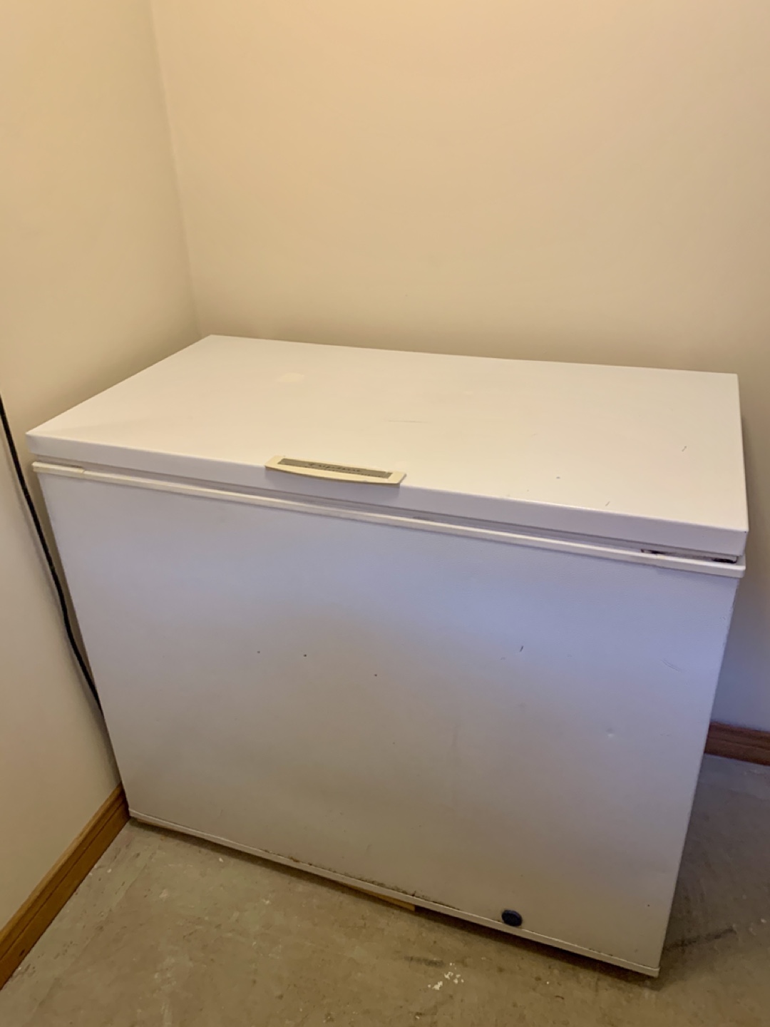 Frigidaire Heavy Duty Commercial Freezer