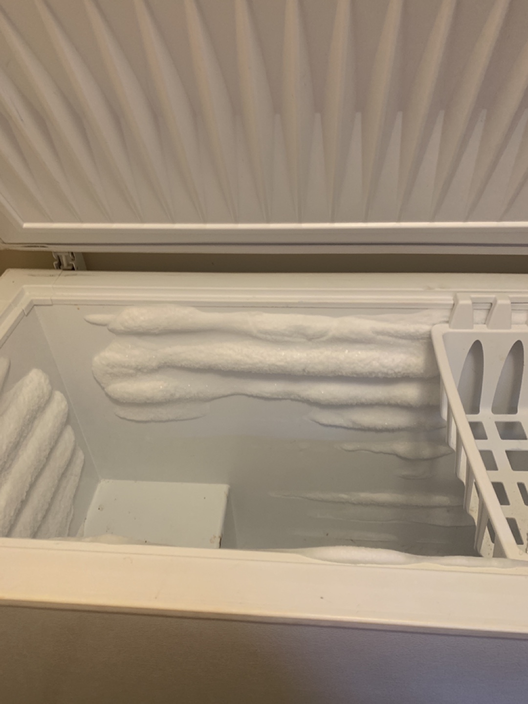 Frigidaire Heavy Duty Commercial Freezer - photo 3