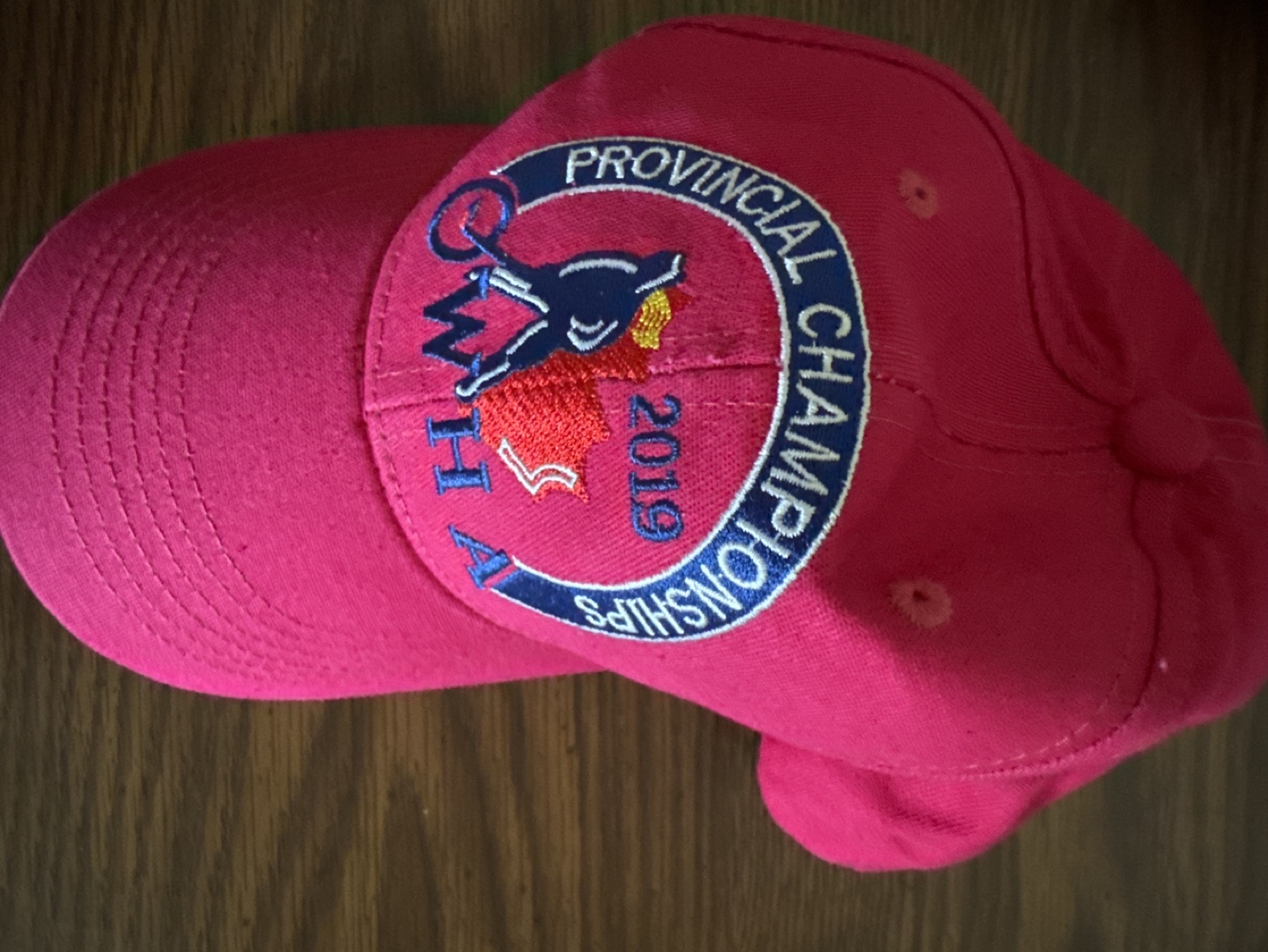 2019 Provincial Championships Baseball Cap #freecycle