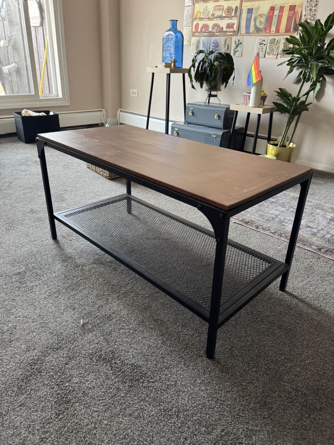 IKEA FJALLBO Coffee Table - Black & Brown