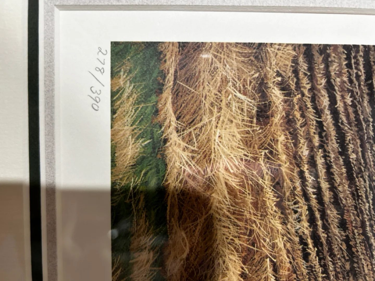 Lloyd Pretty's Daybreak Framed Print image indicator(7)