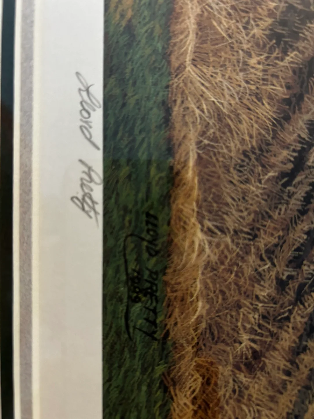 Lloyd Pretty's Daybreak Framed Print image indicator(6)