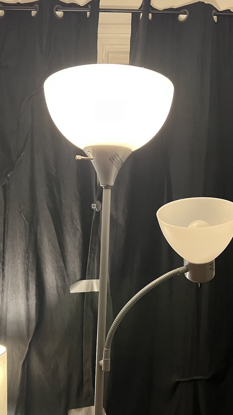 Two-light floor lamp with adjustable arm