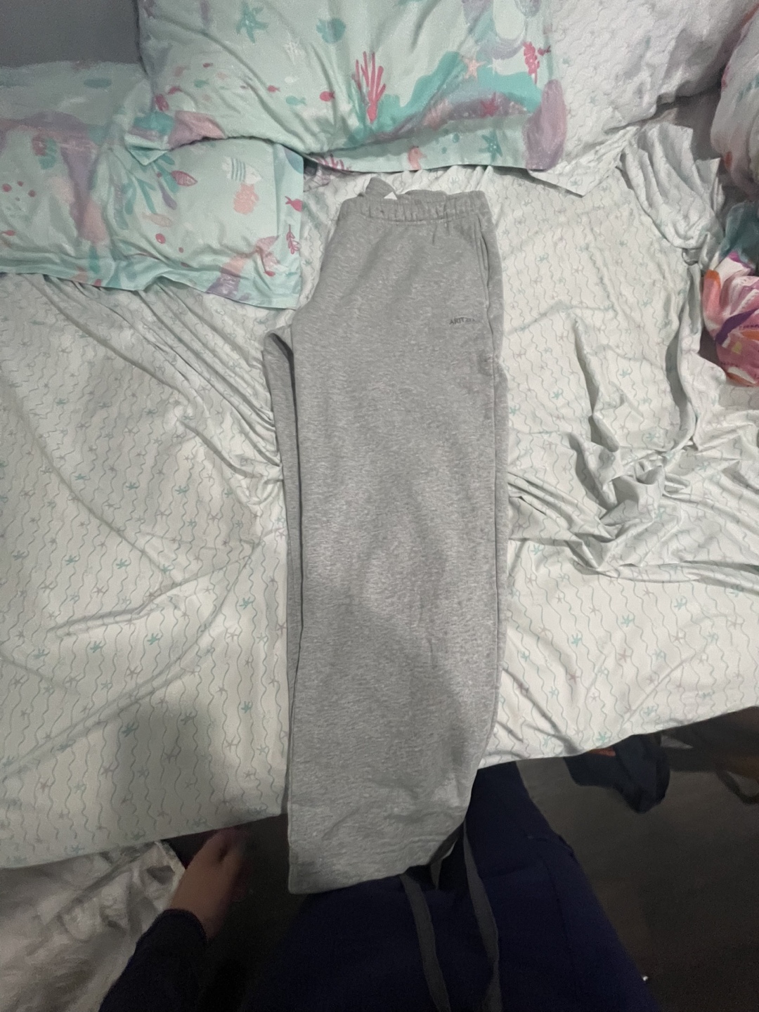 Aritzia Grey Sweatpants - photo 2