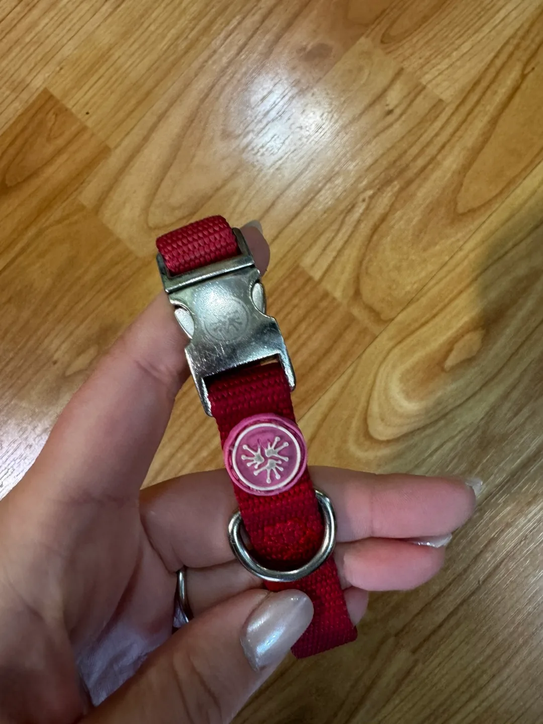 Red Dog Collar with Silver Buckle image indicator(2)