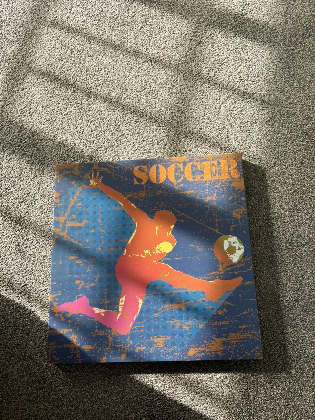 Soccer Canvas and Framed Painting image indicator(2)