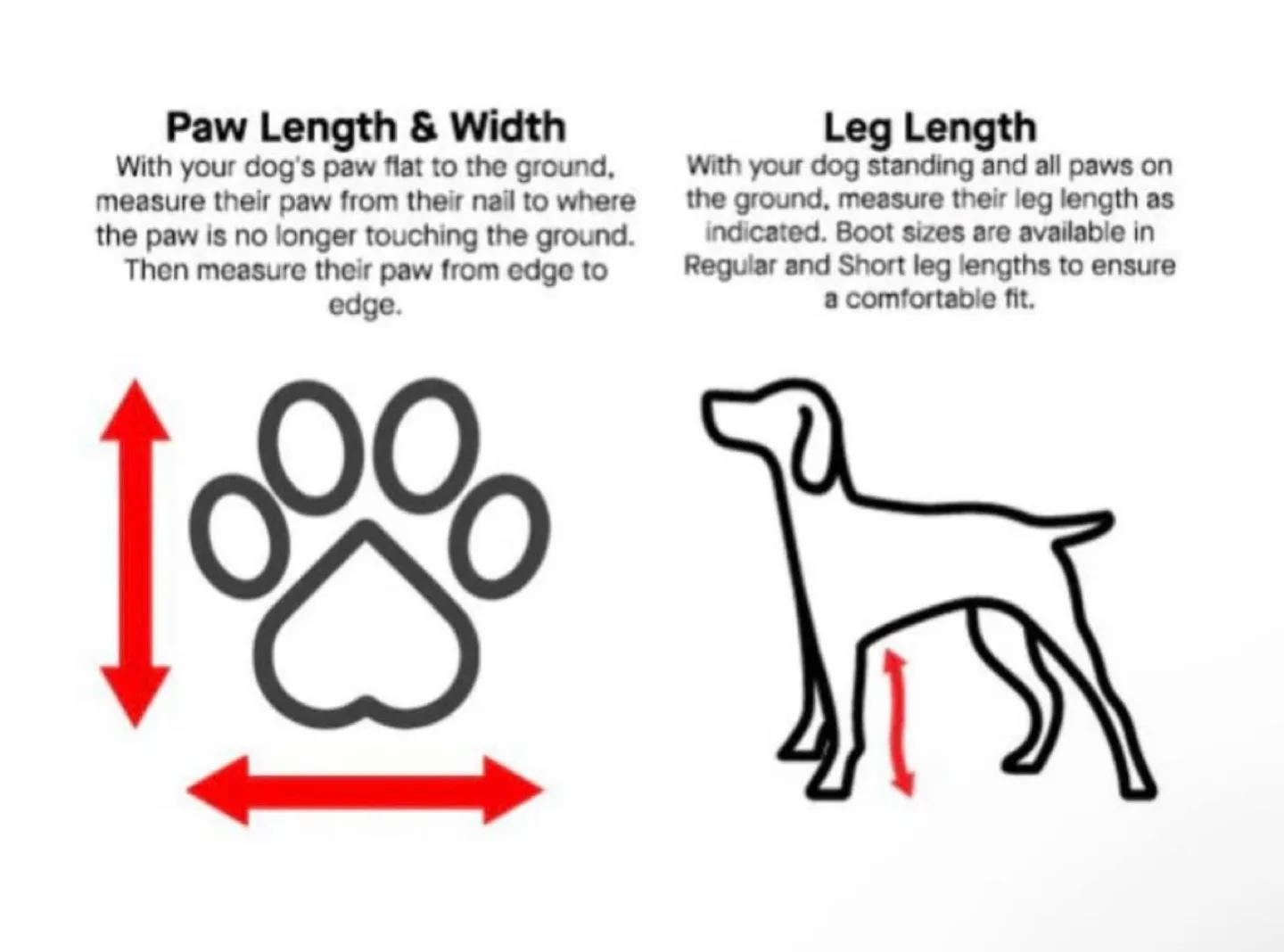 Canada Pooch Suspender Dog Boots Size 1 image indicator(4)