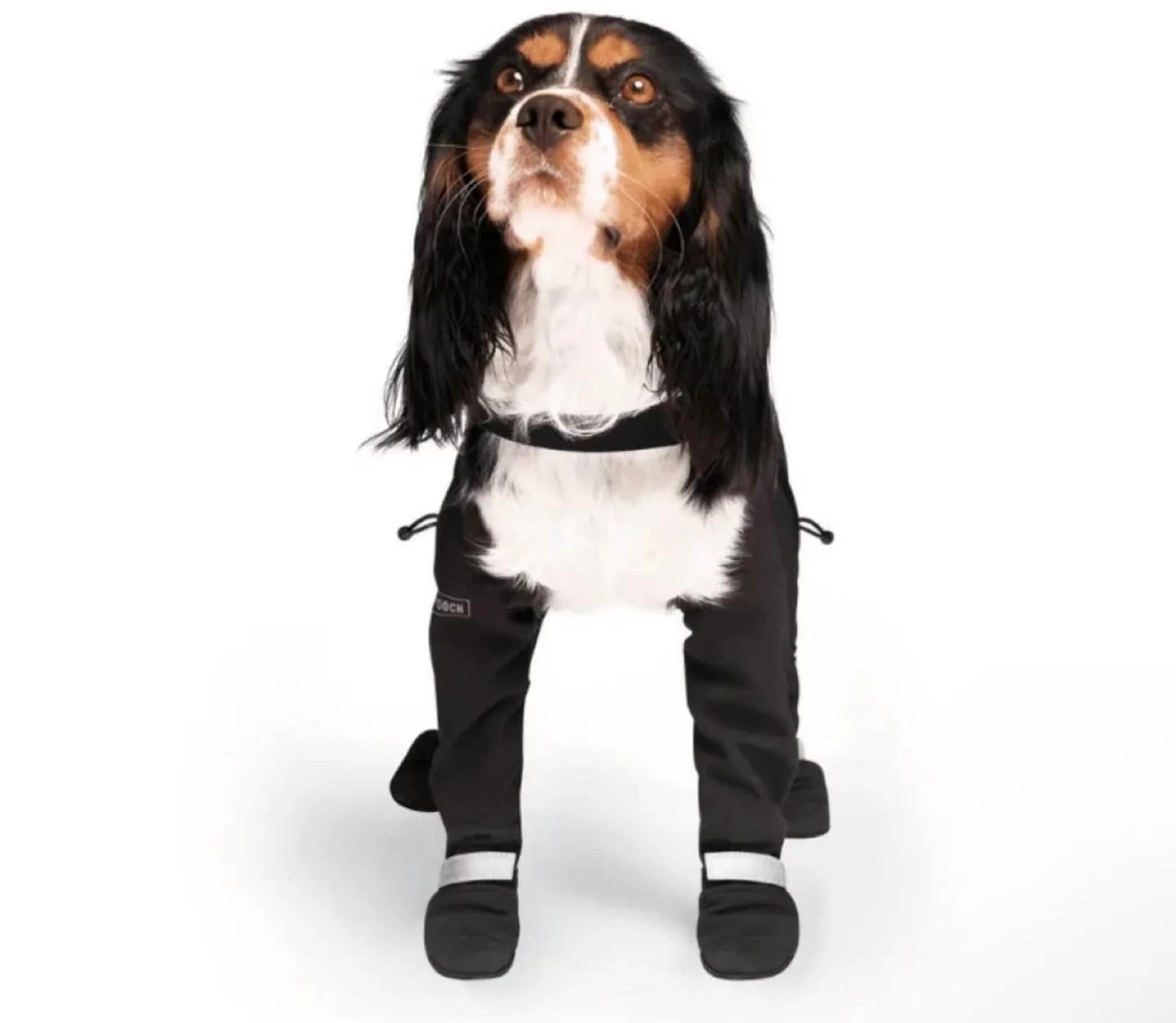 Canada Pooch Suspender Dog Boots Size 1 image indicator(6)