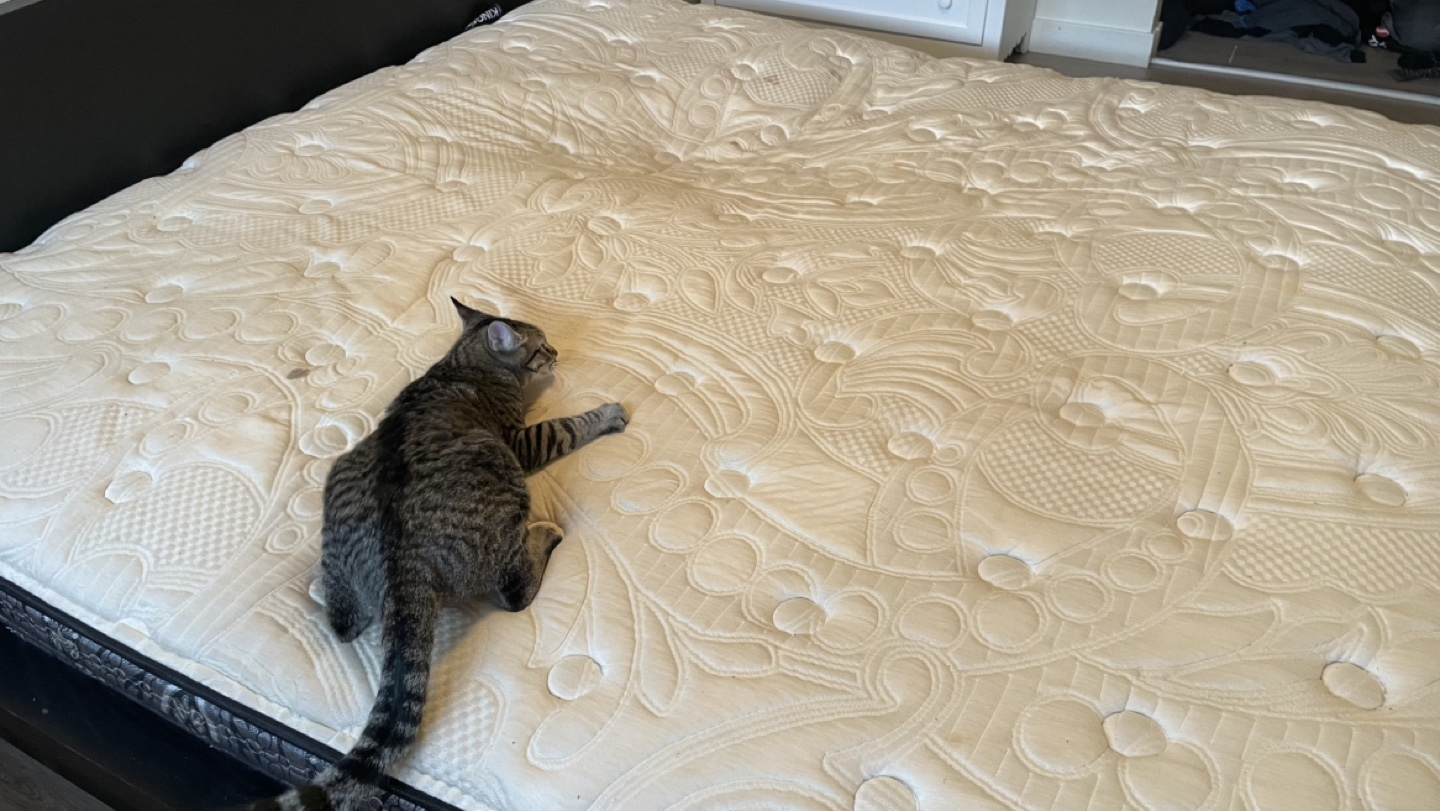 Kingsdown Bacall Mattress King Size - photo 4