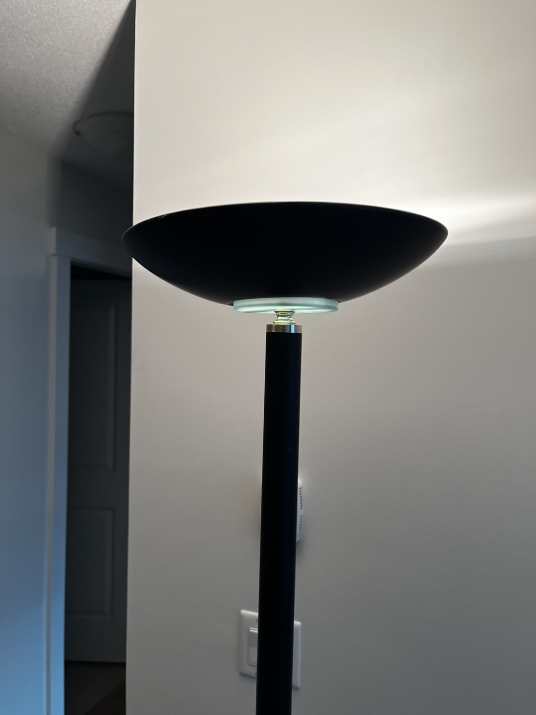 Dimmable Black Floor Lamp - photo 2