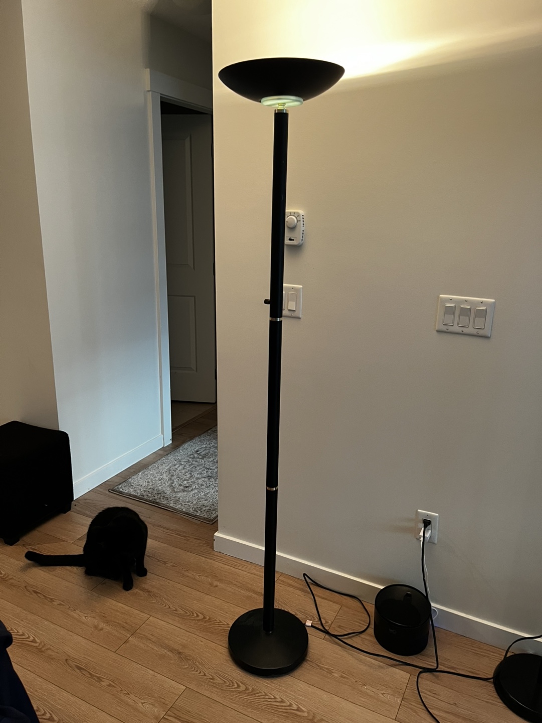 Dimmable Black Floor Lamp