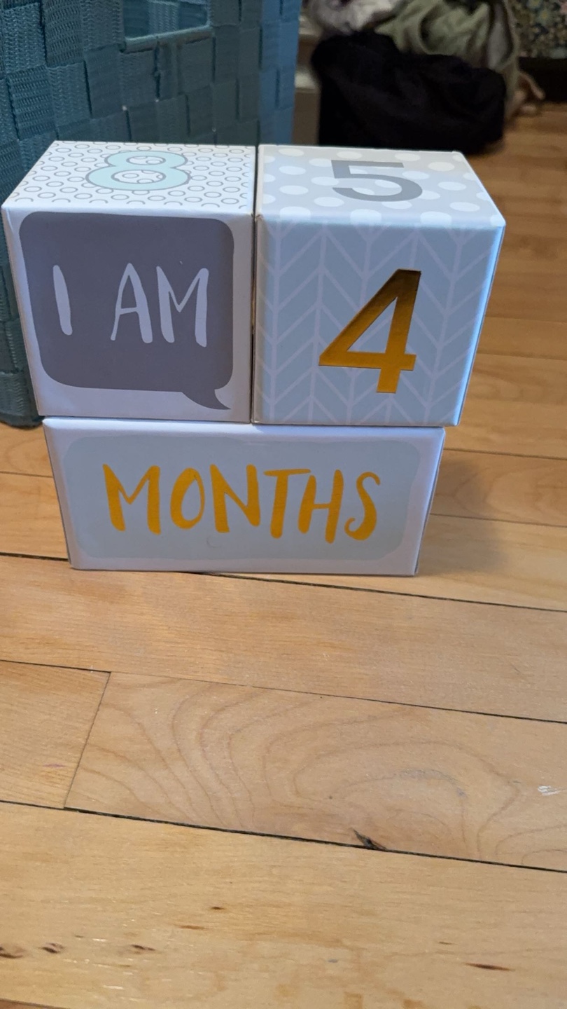 Baby Milestone Blocks