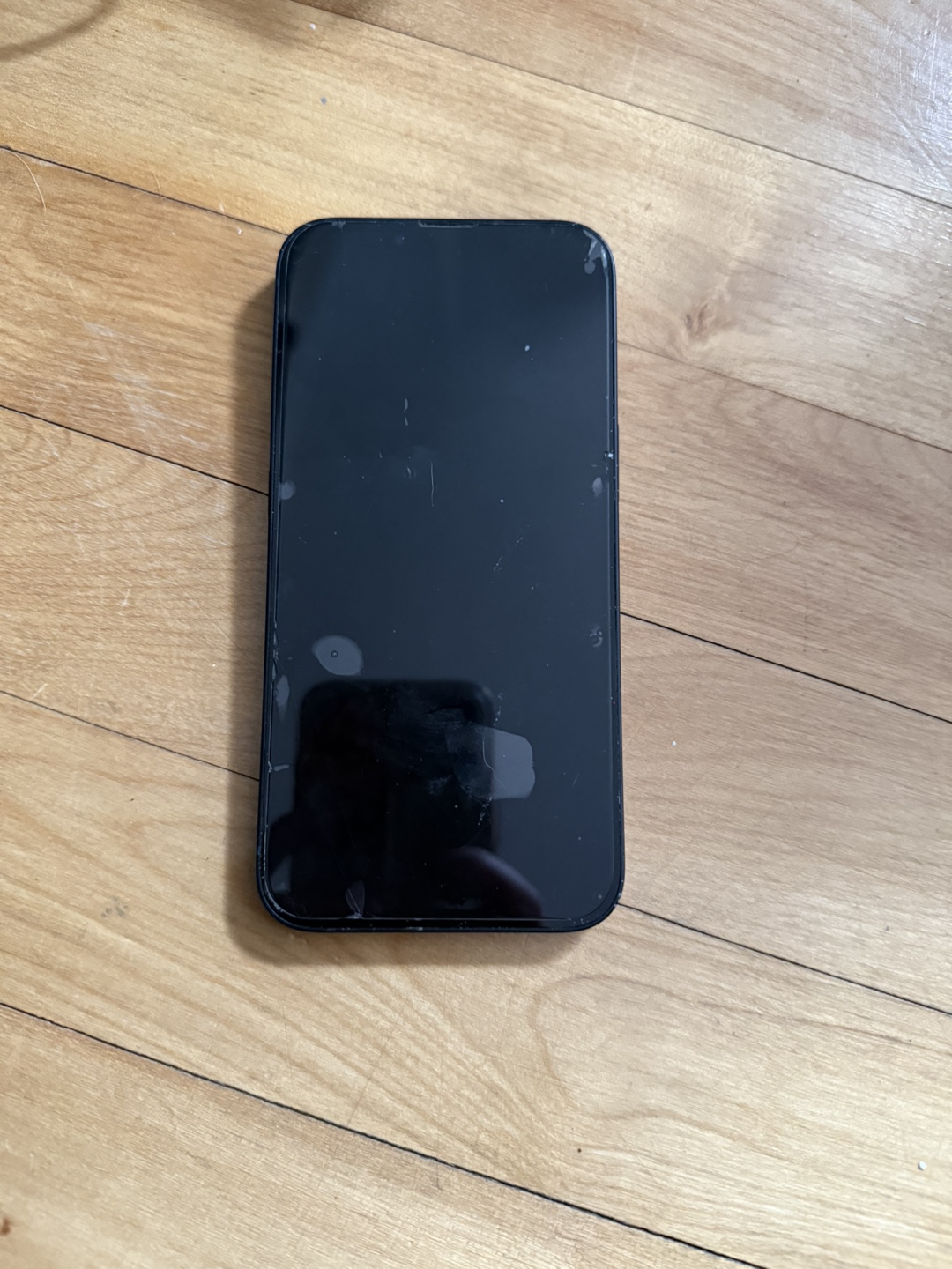 iPhone 13 Pro Max - Screen Protector Included