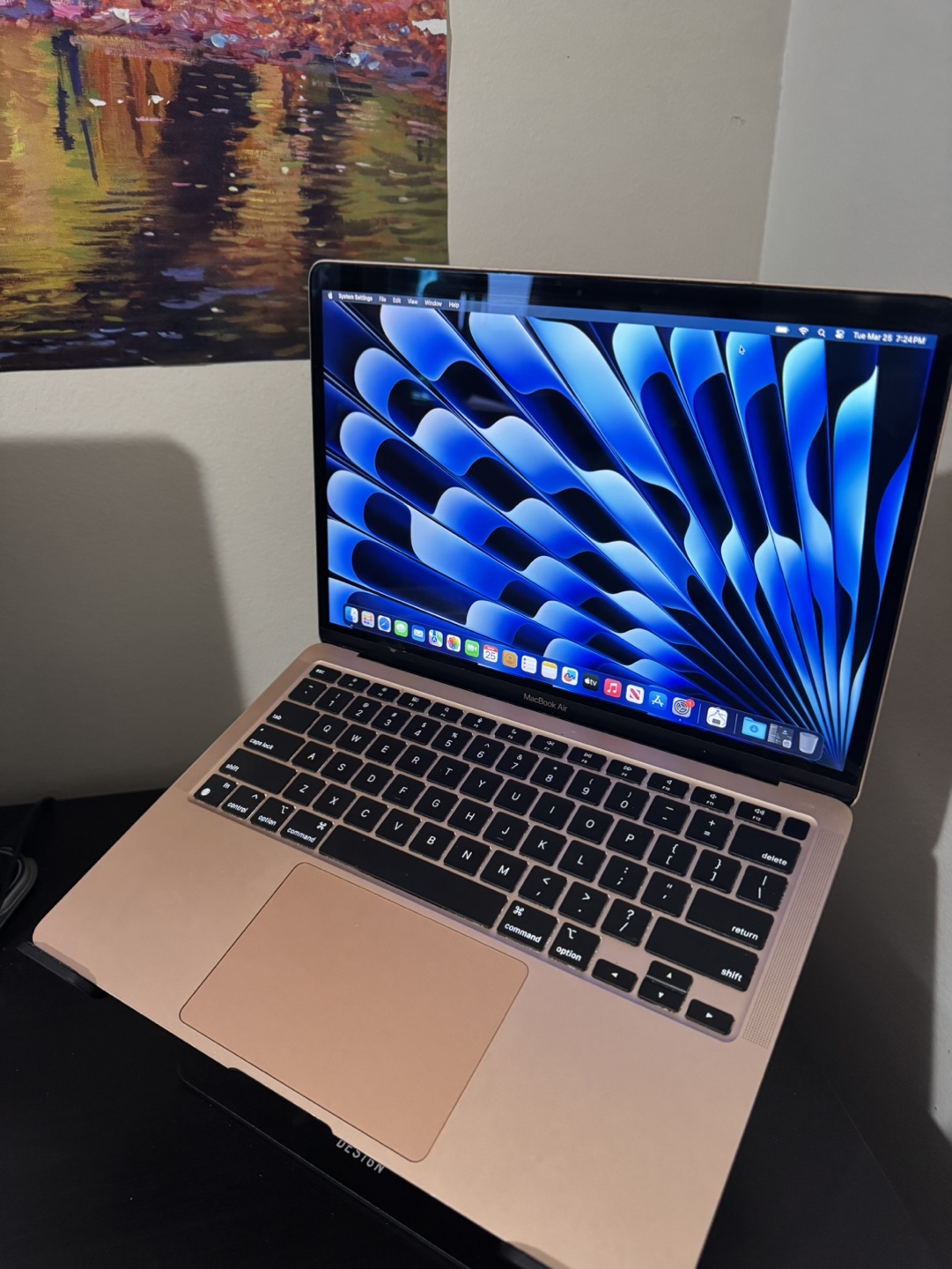 MacBook Air 2020 13.3” (Rose Gold)