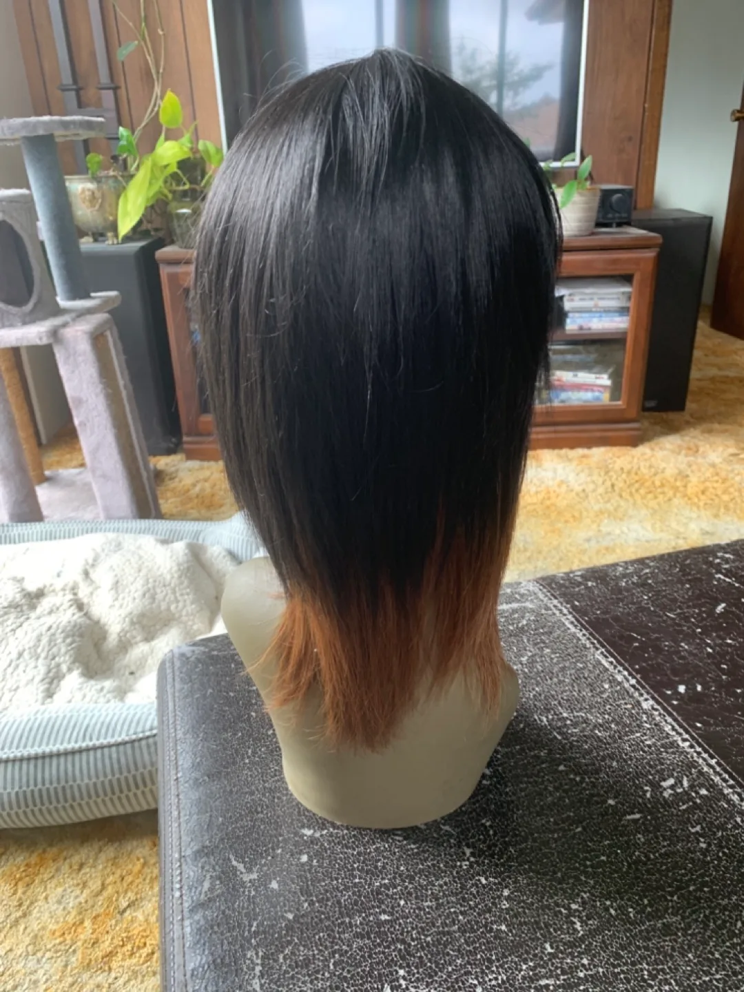 Short Black and Brown Ombre Wig image indicator(2)