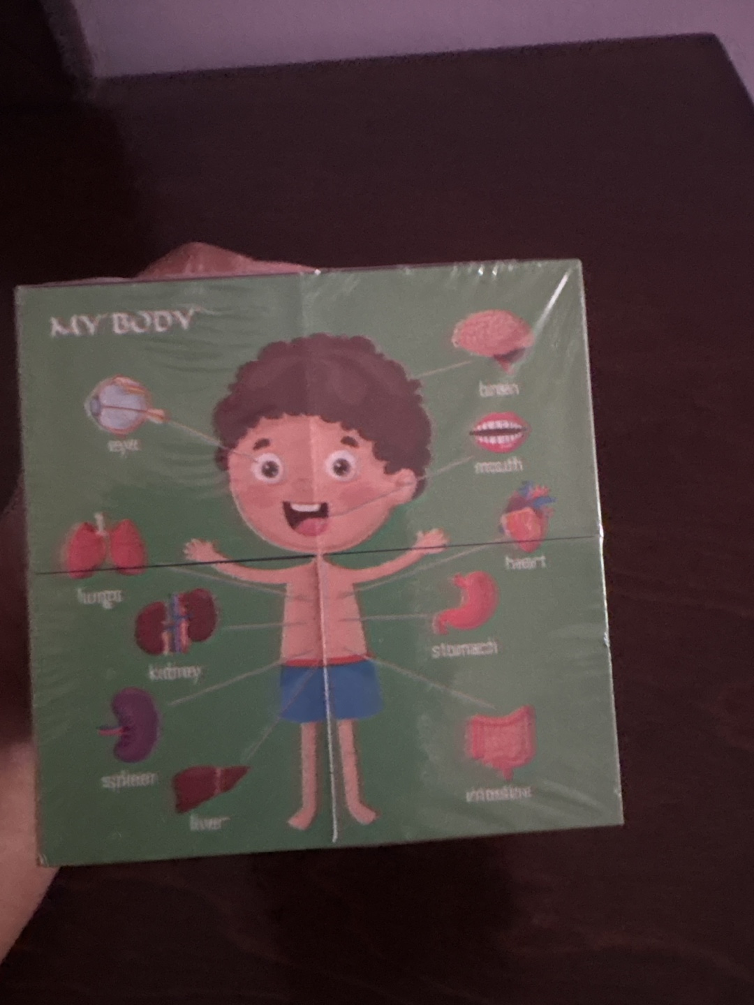 My Body Puzzle Cubes for Kids