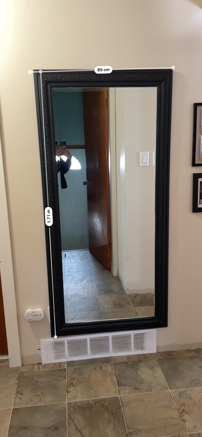 Full-length Black Framed Mirror