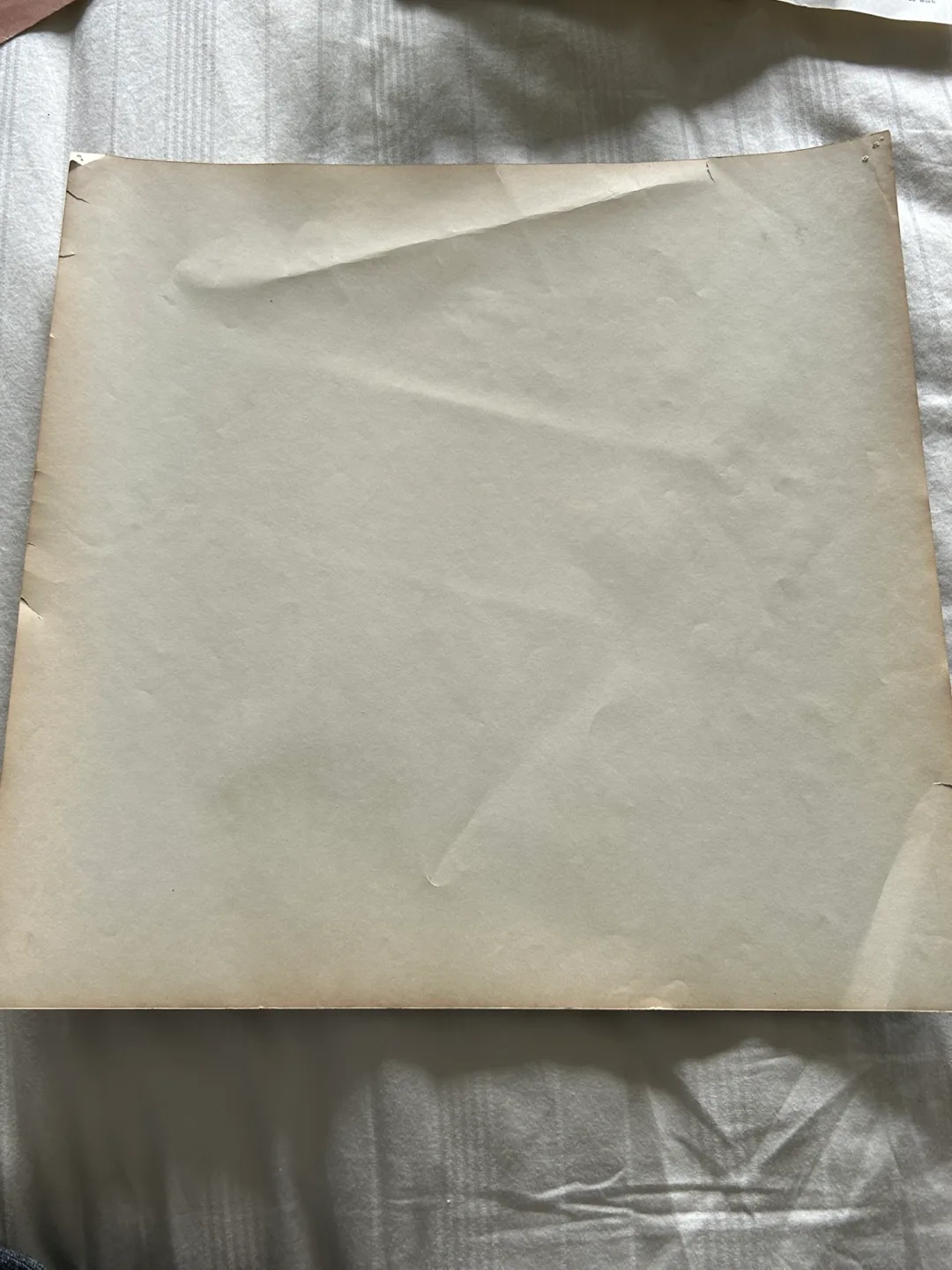 1967 record album art The Lady Godiva Memorial Band Blows SKULE image indicator(5)