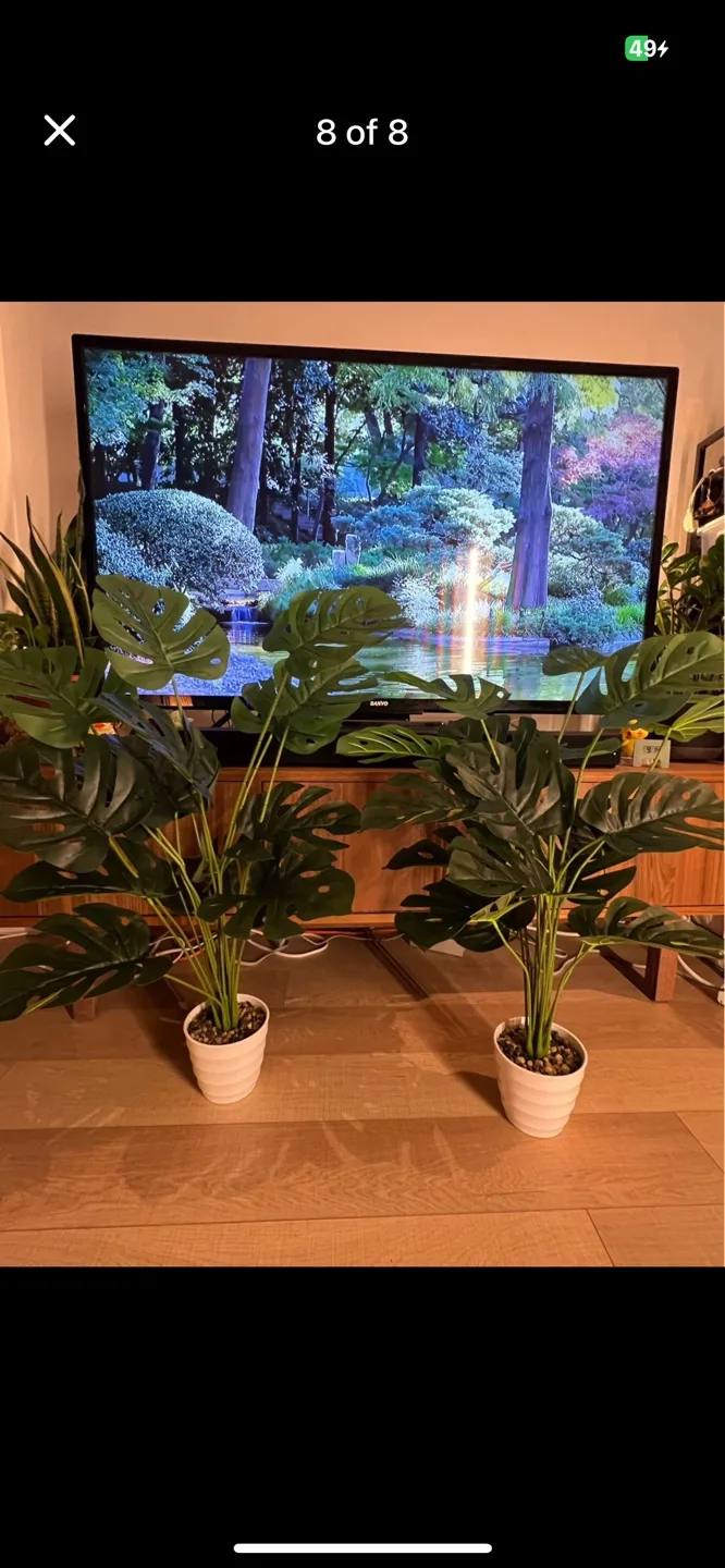 Faux Plant image indicator(5)