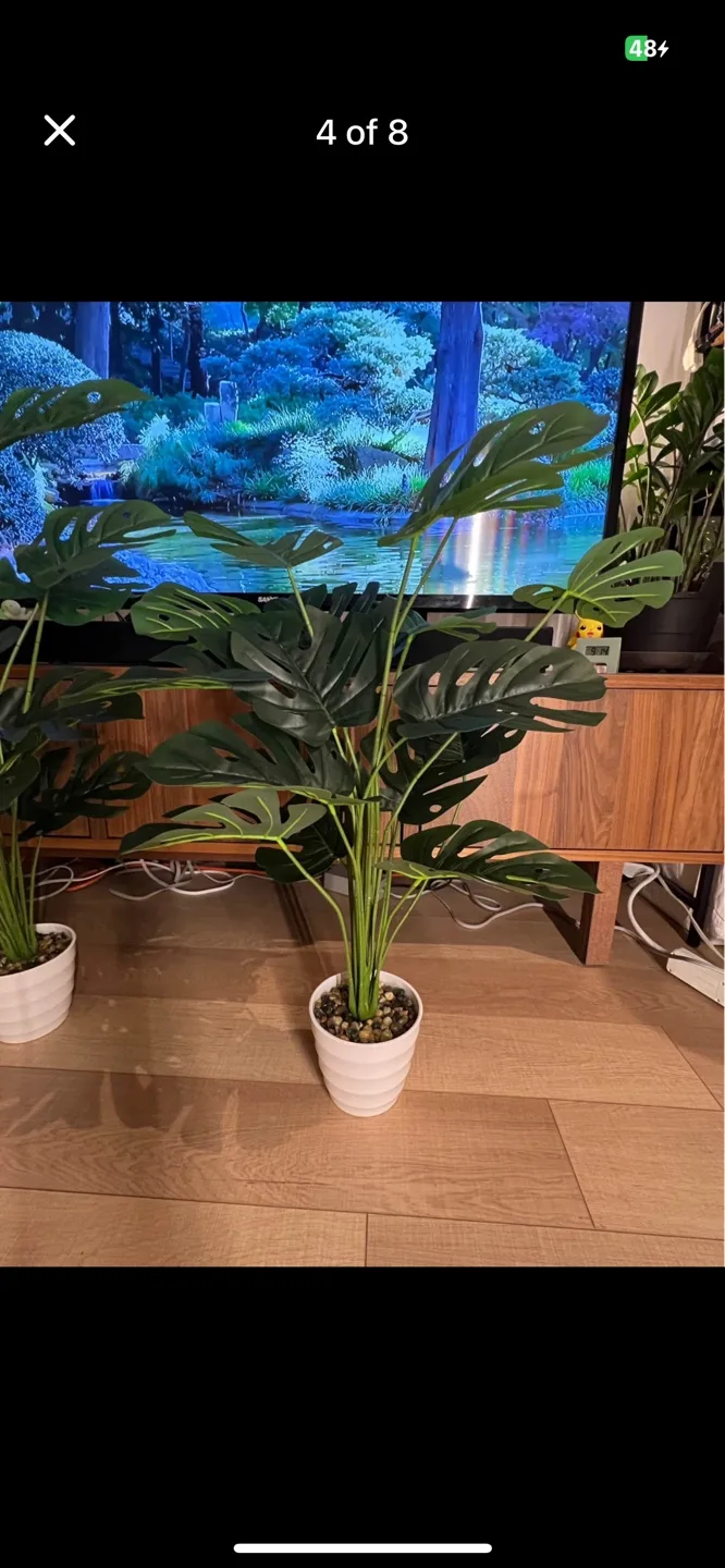 Faux Plant image indicator(4)