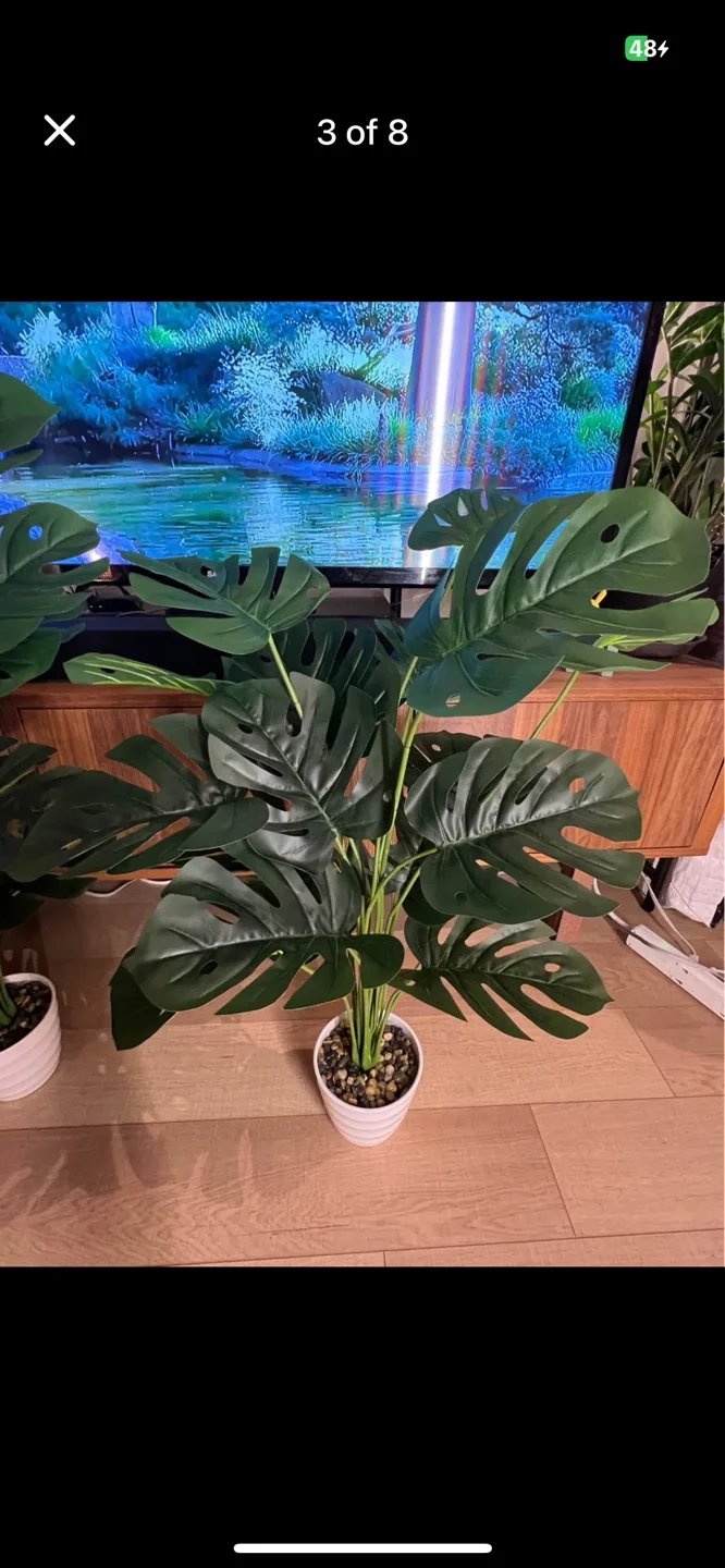 Faux Plant image indicator(3)